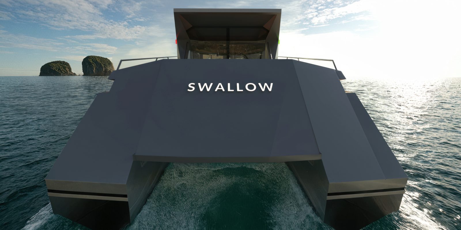 Swallow — design render